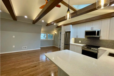Inspiration for a kitchen remodel in DC Metro