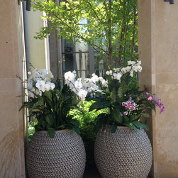 DALA COLLECTION - Products
