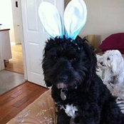 Deb Zirkelbach's photo
