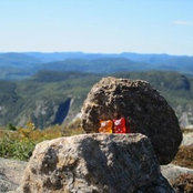 Elyse Beaubien's photo