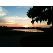Pam Davidson's photo