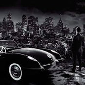 Radu Vasilescu's photo