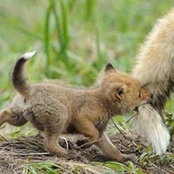 Denise Adams's photo