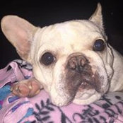 Antonieta Keefe's photo