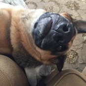 Barbara Gallagher's photo