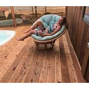 Dana Prussoff's photo