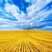 Umka Andriy's photo
