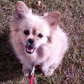 Jennifer Maggard's photo
