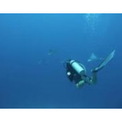 Felipe Romo's photo