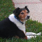 Bill Bass's photo