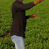 Suhag Johns foto