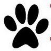 Paws 4 You Applicationss foto