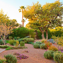 Garden and Backyard