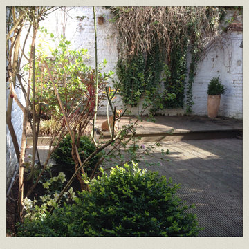 Jardin de ville 50m2 - Etterbeek/ Bruxelles - Campagne