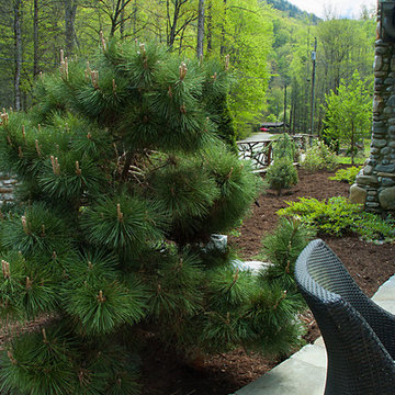 Cook Retreat