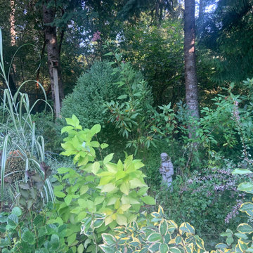 Woodland Meets Backyard