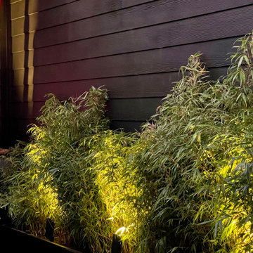 Bamboo: clumping and blown glass