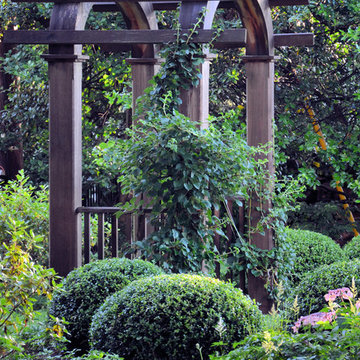 Garden Pergola
