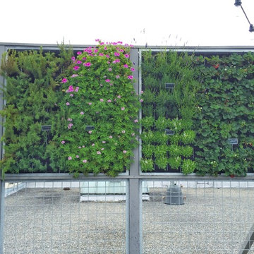 Anchor Distilling Roof Terrace Garden