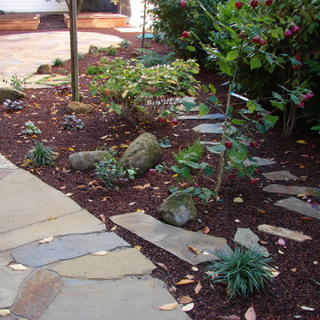 Stepping Stone Path through Shade Tolerant Planting