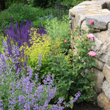 Coastal plantings, June 2014