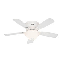 Celing fans