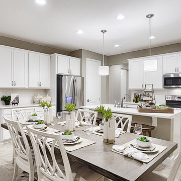 Peridot model home in Florida
