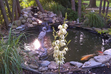 First Koi Pond