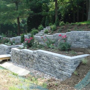 Chester Residence