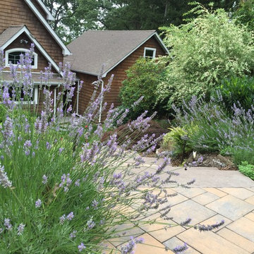 Lush Tranquility