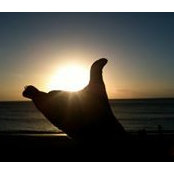 Reyn Oshiro's photo