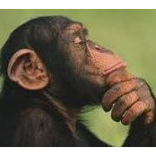 John Hopper's photo