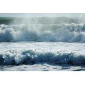 Naomi Wilson's photo