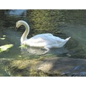 Hiltrud Davids's photo