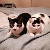 Joyce Knepp's photo