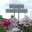 San Gabriel Nursery & Florist