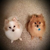 Kelly Johnson Clouse's photo