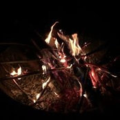 Michael Pitman's photo