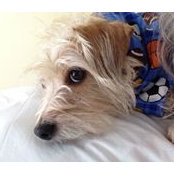 Mary Alice Kuntz's photo