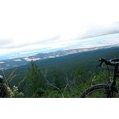 Clare Carpenter's photo