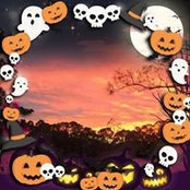 Cathy Laurer's photo