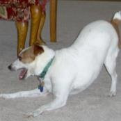 Norma Kuhlman's photo