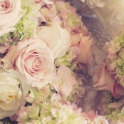 Brianne Therrien's photo
