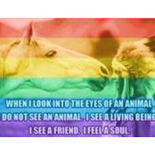 Amanda Mclain's photo