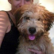 Amy Gillezeau's photo