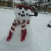 Sharon P's photo