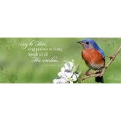 Laura Shaw's photo