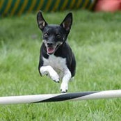 Tracie Rosecrans's photo