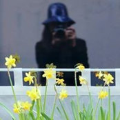 Raimona Lees foto