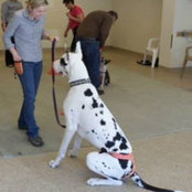 Erin Bateman's photo